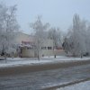 Жизнь поселения