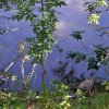 Жизнь поселения