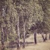 Жизнь поселения