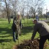 День древонасаждения 2016
