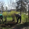 День древонасаждения 2016