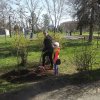 День древонасаждения 2016