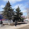 Дубовское