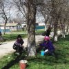 Благоустройство