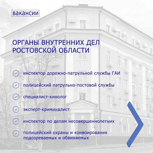 Информация органов внутренних дел РО