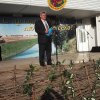Конкурс по благоустройству